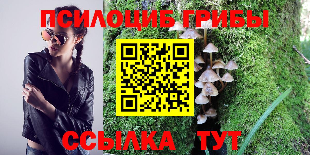 Галлюциногенные грибы Psilocybe  Вход с VPN  закладка  Унеча 