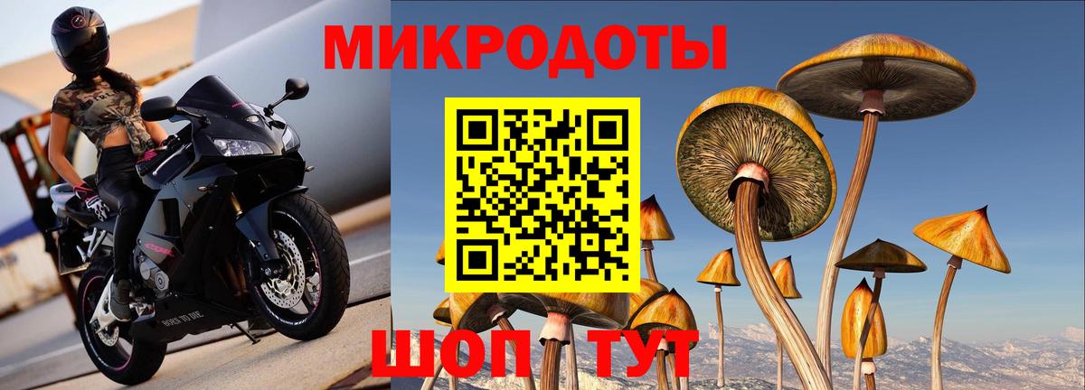Галлюциногенные грибы Cubensis Унеча